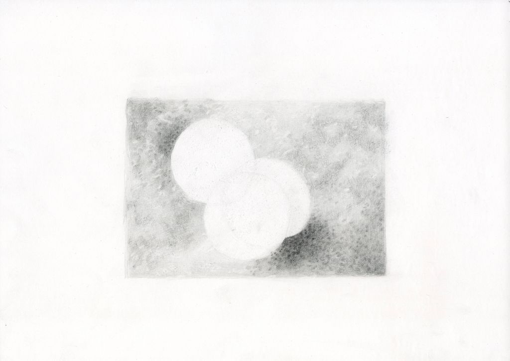 small study 09_ Inflorescence