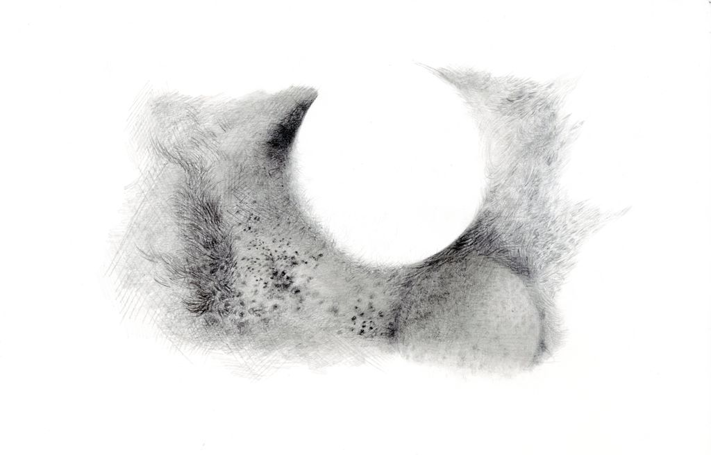 small study 14_Abrade