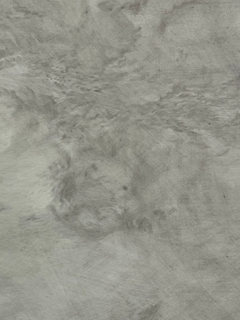 Early compaction detail 1