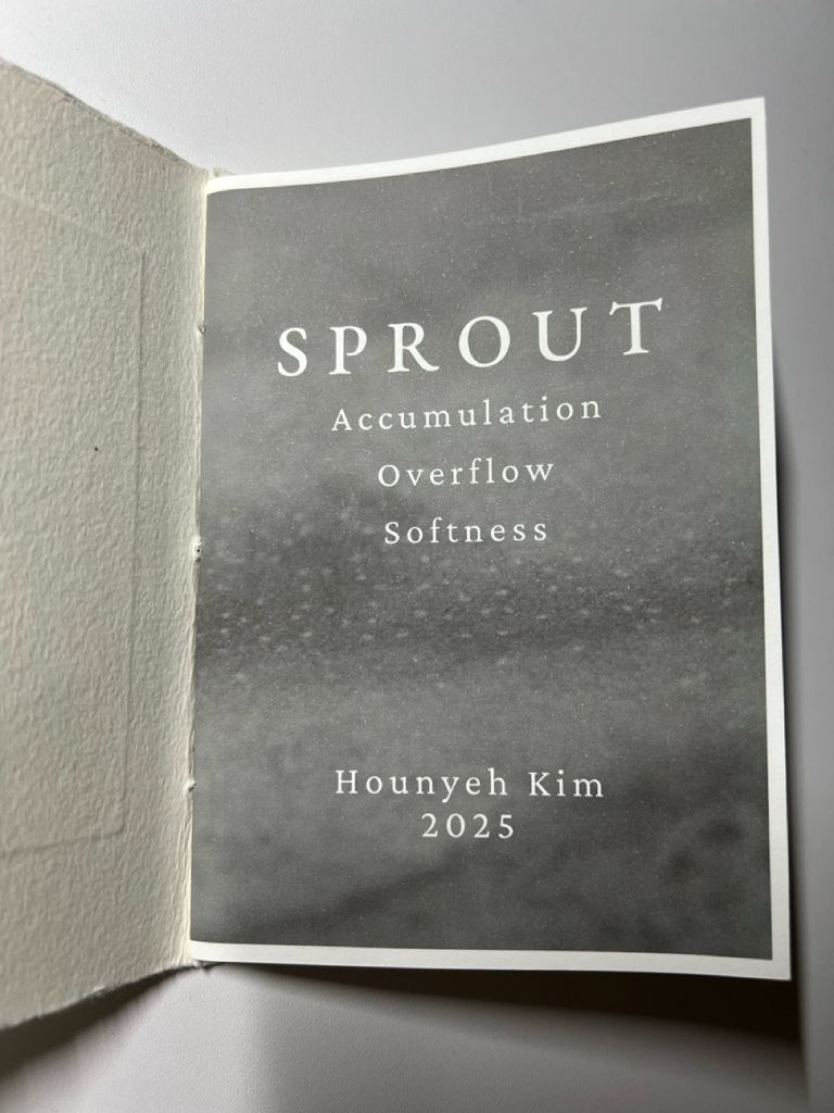 Artist Book_Sprout detail 2