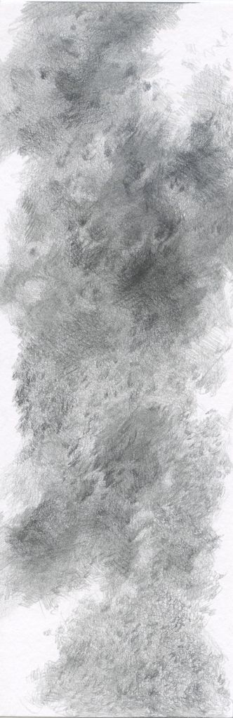 No. 019