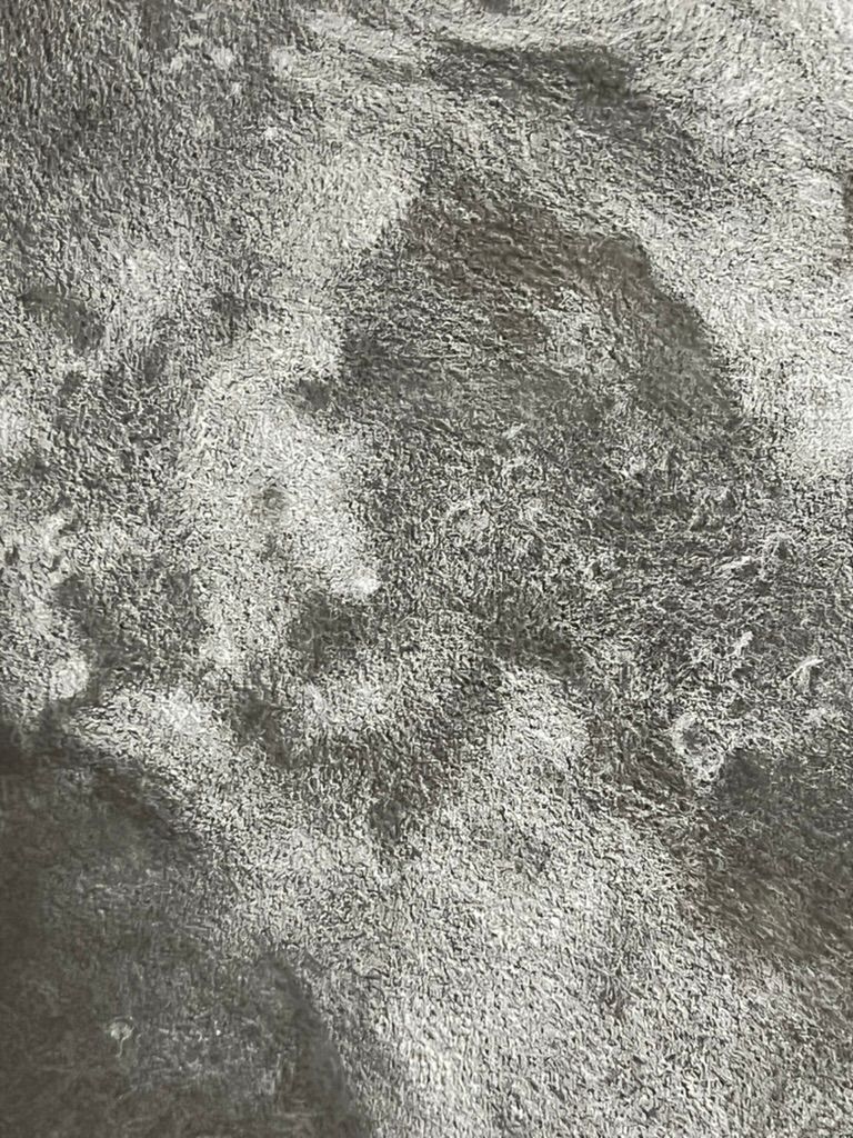 White on Black detail 3