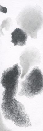 No. 031