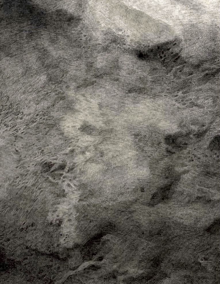 Dissociation detail 3