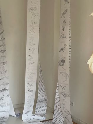 aaah, wooo, emmm view 10